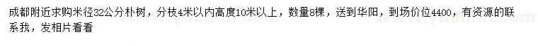 求購米徑32公分樸樹