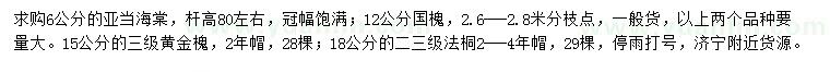 求購6公分亞當(dāng)海棠