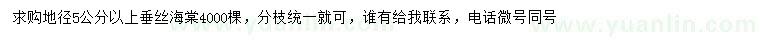 求購地徑5公分以上垂絲海棠
