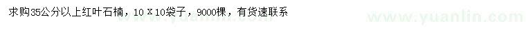 求購(gòu)35公分以上紅葉石楠