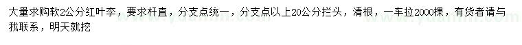求購2公分紅葉李