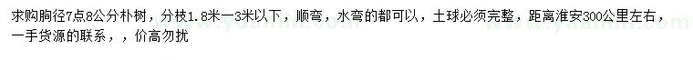 求購(gòu)胸徑7.8公分樸樹(shù)