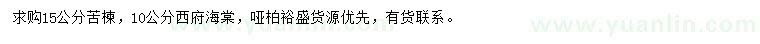 求購(gòu)15公分苦楝、10公分西府海棠