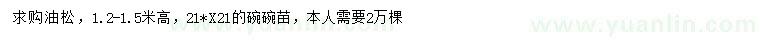 求購高1.2-1.5米油松