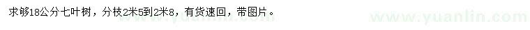求購(gòu)18公分七葉樹
