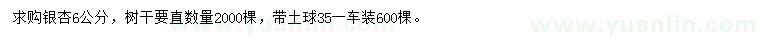 求購6公分銀杏