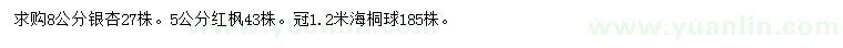 求購銀杏、紅楓、海桐球