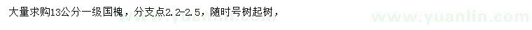 求購13公分老國槐