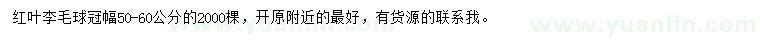 求購(gòu)冠幅50-60公分紅葉李毛球