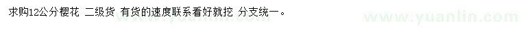 求購(gòu)12公分櫻花