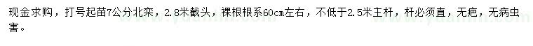求購7公分北欒