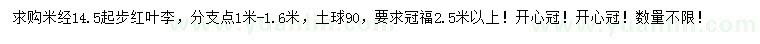 求購(gòu)米經(jīng)14.5起步紅葉李