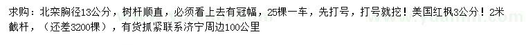 求購胸徑13公分北欒、3公分美國紅楓