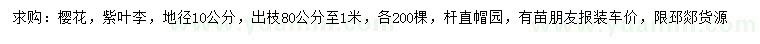 求購地徑10公分櫻花、紫葉李
