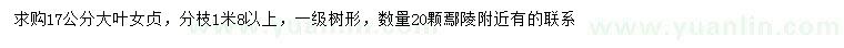 求購17公分大葉女貞