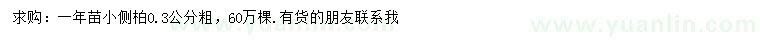 求購0.3公分側柏