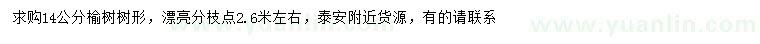 求購(gòu)14公分榆樹(shù)