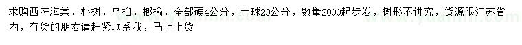 求購西府海棠、樸樹、烏桕等