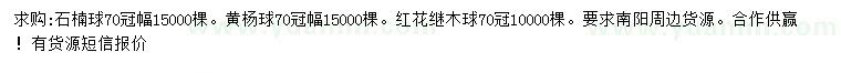 求購石楠球、黃楊球、紅花繼木球