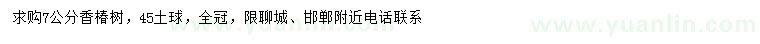 求購7公分香椿