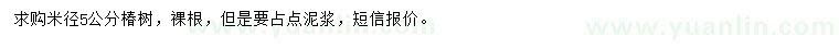 求購米徑5公分椿樹