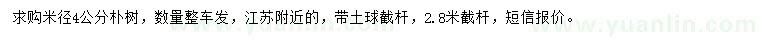 求購(gòu)米徑4公分樸樹