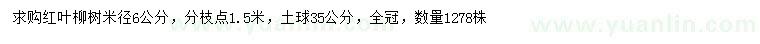 求購米徑6公分紅葉柳樹