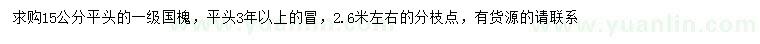 求購15公分國槐