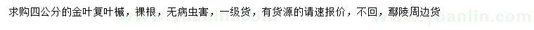 求購(gòu)4公分金葉復(fù)葉槭