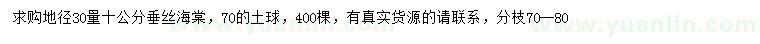 求購地徑30量10公分垂絲海棠