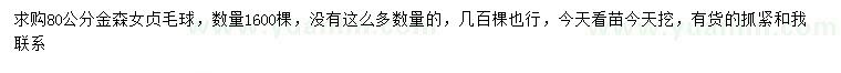 求購80公分金森女貞毛球