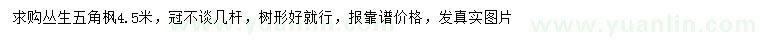 求購(gòu)4.5米叢生五角楓