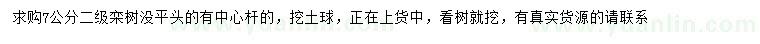 求購(gòu)7公分欒樹(shù)