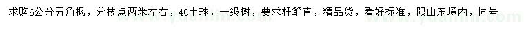 求購6公分五角楓