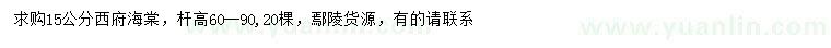求購(gòu)15公分西府海棠