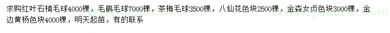 求購紅葉石楠、毛鵑、茶梅等