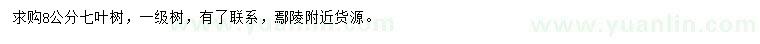 求購8公分七葉樹