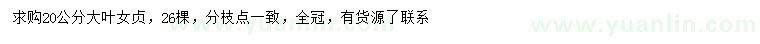 求購20公分大葉女貞