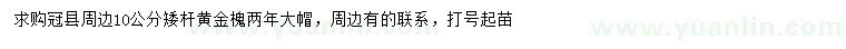 求購(gòu)10公分矮桿黃金槐