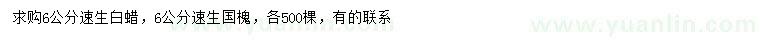 求購(gòu)6公分速生白蠟、速生國(guó)槐