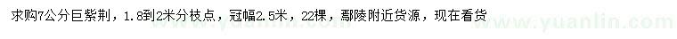 求購7公分巨紫荊