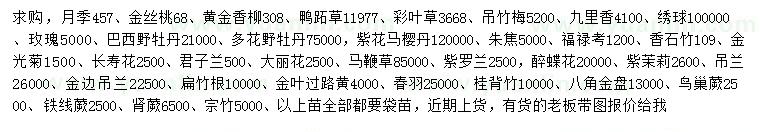 求購月季、金絲桃、黃金香柳等