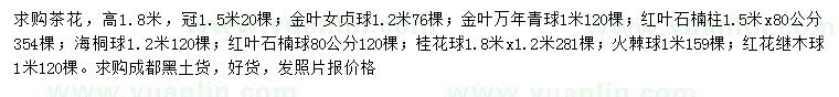 求購(gòu)茶花、金葉女貞球、金葉萬年青球等