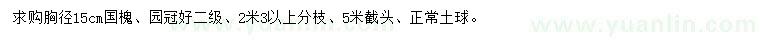 求購胸徑15公分國(guó)槐
