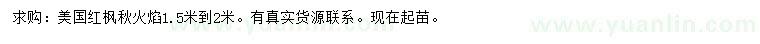 求購(gòu)1.5-2米美國(guó)紅楓秋火焰