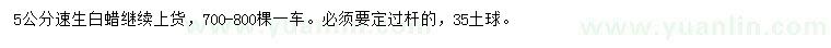 求購(gòu)5公分速生白蠟