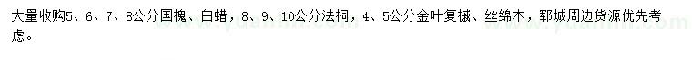 求購國槐、白蠟、法桐等