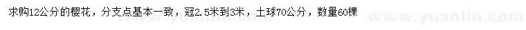 求購(gòu)12公分櫻花