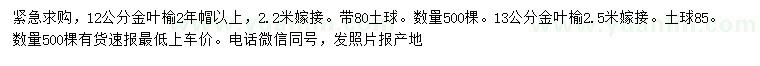 求購12、13公分金葉榆
