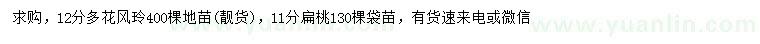 求購12公分多花風鈴木、11公分扁桃
